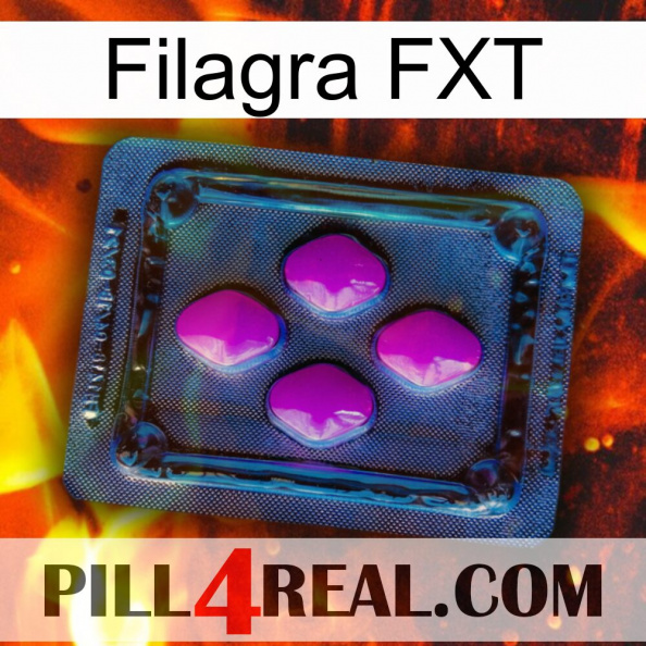 Filagra FXT 04.jpg